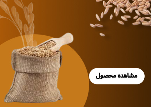 ذرت