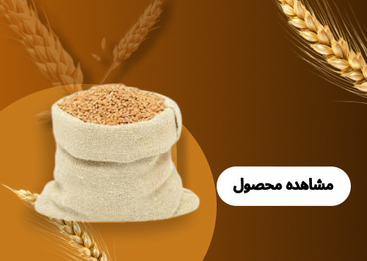 گندم