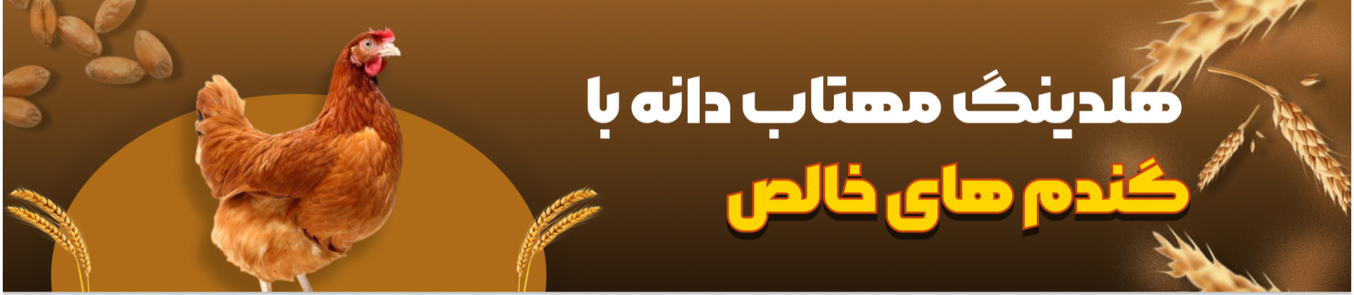 Second Banner