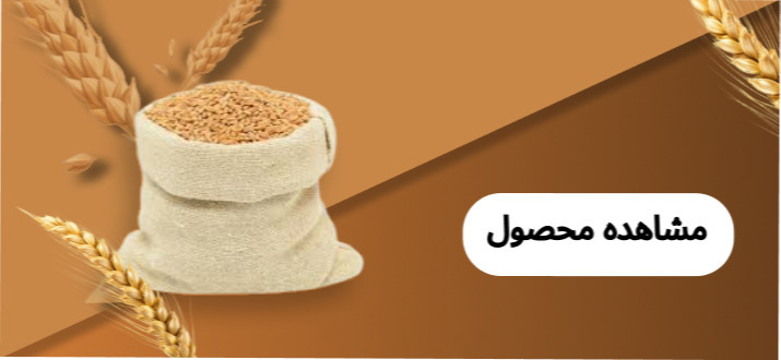 گندم
