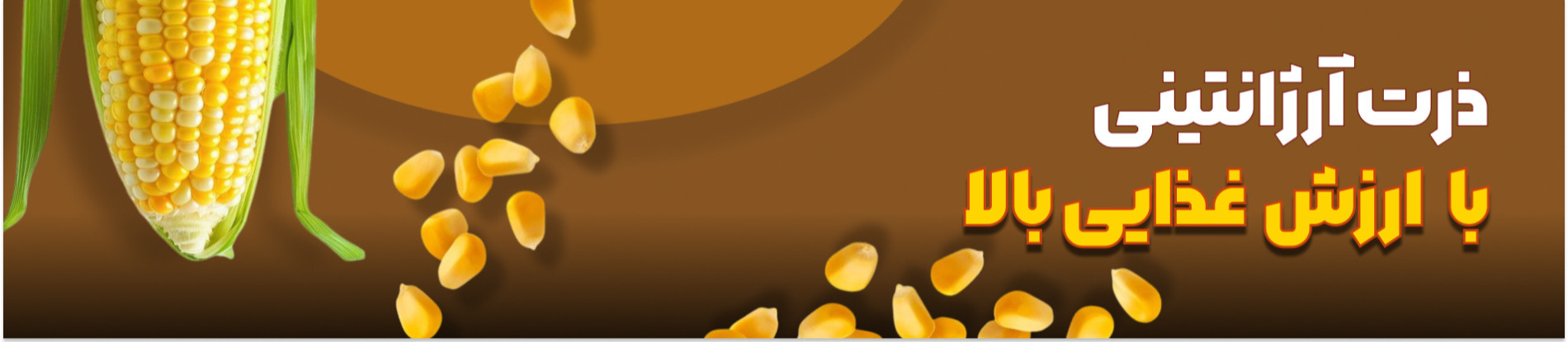 First Banner